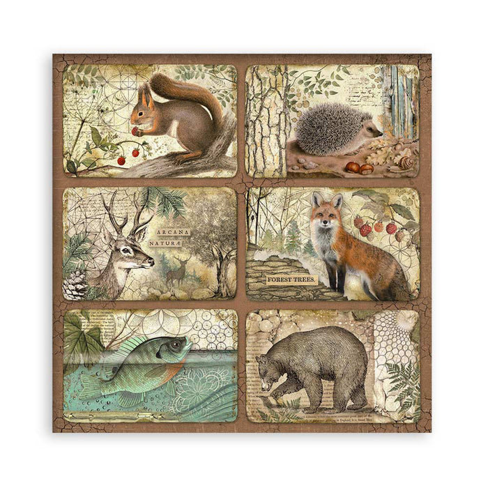 Stamperia Forest 12" x 12" Single Faced Maxi Paper Pad