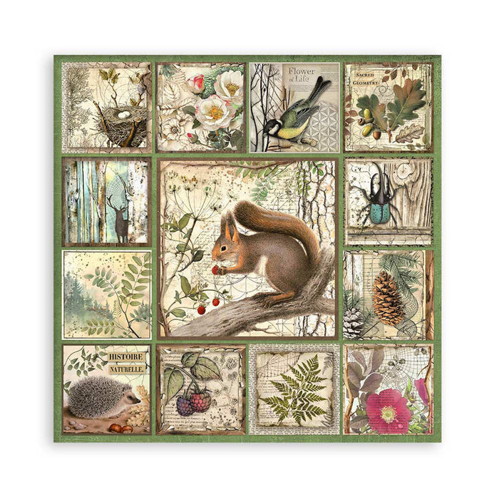 Stamperia Forest 12" x 12" Single Faced Maxi Paper Pad