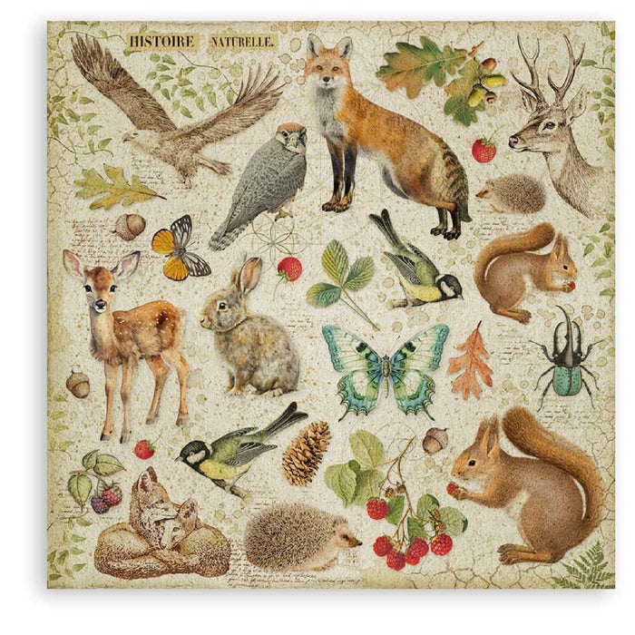 Stamperia Forest 12" x 12" Single Faced Maxi Paper Pad