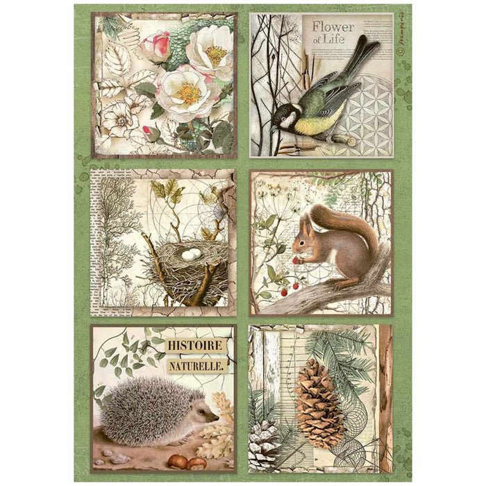 Stamperia Forest A4 Rice Paper Cards